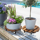 IdleHippo 2-Pack 12-Inch Wooden Plant Caddies with 360° Lockable Wheels, Rolling Pot Stands, Up to 170 lbs Each