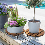 vessgra 2-Pack Wooden Plant Caddy with Lockable Wheels, 12-Inch Pine Wood Rolling Plant Stand, 170 lbs Capacity, 360° Swivel, Indoor Outdoor Pot Stand