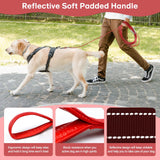 Furggis 10ft Dog Leash Chew Proof, Tie Out Cable for Dogs Heavy Duty with Comfortable Padded Handle for Dogs Up to 125lbs, Red